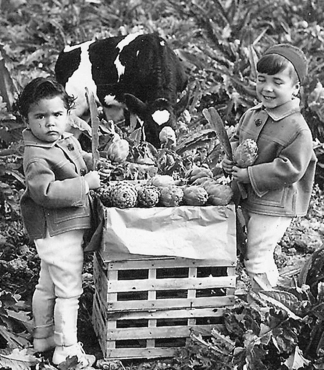 Las artistas recolectando